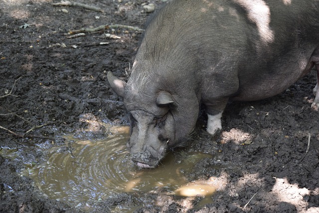 杰拉德：必须尊重萨拉赫的感受，他渴望为球队出力