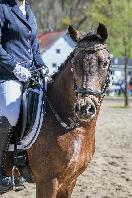 林诗栋与王楚钦，2025国际乒联世界第一排名的交替变化