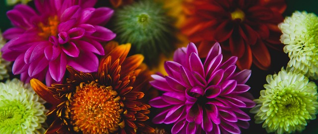 把赛车运动带回家乡，金彭携手赛车名将绘就体育+新图景