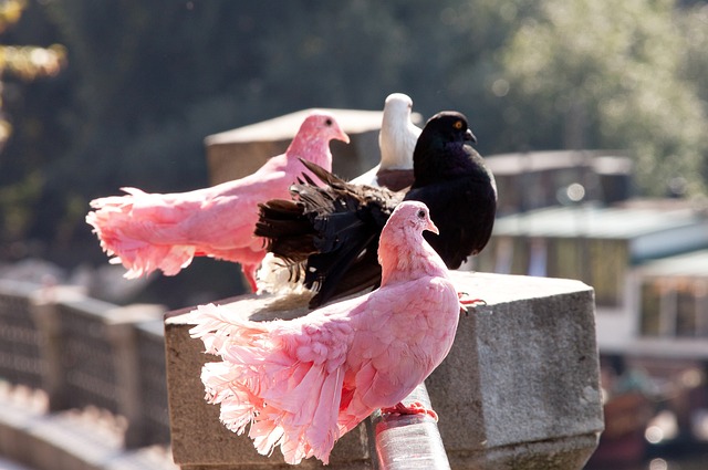 中超赛程更新：关注积分榜前五,